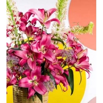 Bulbi crini Profundo - 1 bucată, FLORI MARI Bulbi crini Profundo - 1 bucată, FLORI MARI