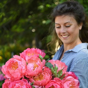 Bulbi (rizomi) bujori Pink Hawaiian Coral - 1 bucată Bulbi (rizomi) bujori Pink Hawaiian Coral - 1 bucată